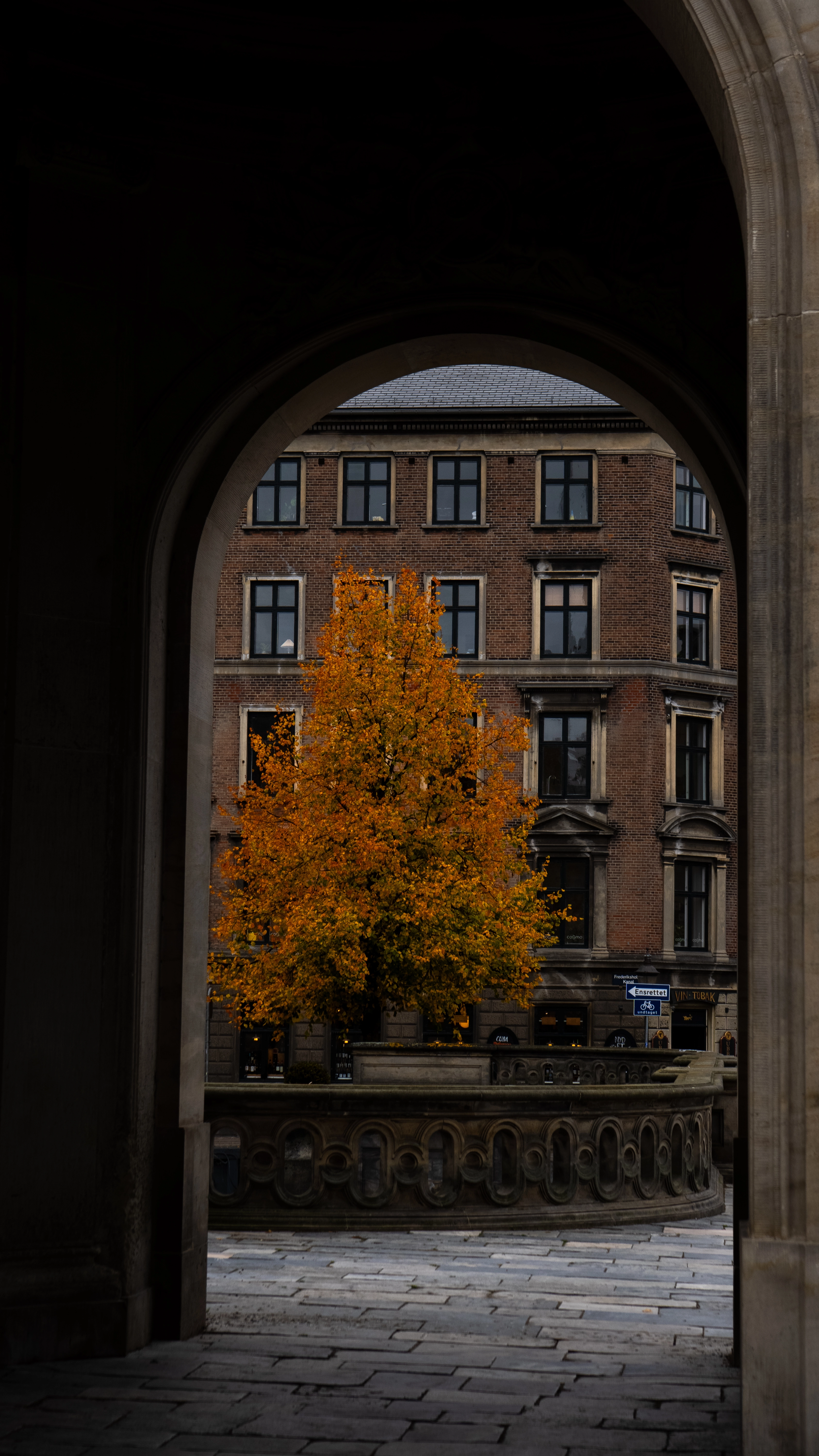 tree